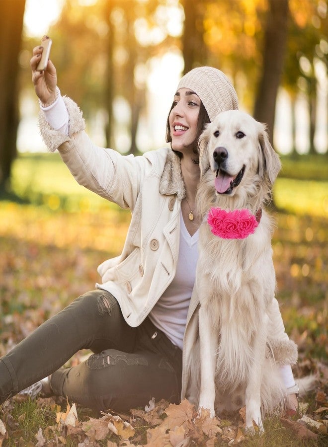 Styquenzer أزهار طوق الكلاب، 6 قطع من ربطات شعر الكلاب للكلاب الكبيرة والجراء والصغيرة والمتوسطة والكبيرة والقطط والألبكة والأرانب الأليفة، إكسسوارات طوق الكلاب، ربطات شعر رقبة الحيوانات الأليفة، ملحقات طوق التزيين - Image 4