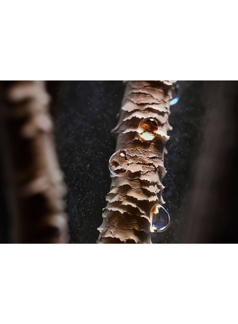 DS HT01 Airstrait Straightener, 1600W, LCD Screen, Wet to Dry Hair, 2 Modes - 3 Heat, 3 Speed Power, 240V Voltage, Intuitive Airflow, Lock Feature, Auto-Pause, Jasper Plum - Image 5