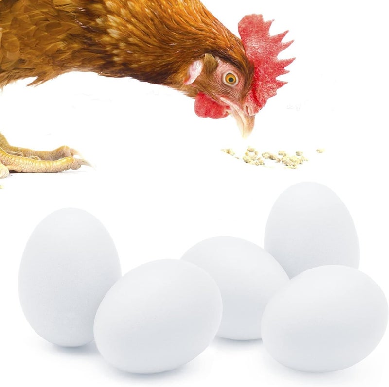 SunGrow Fake Wooden Eggs to Train Birds from Laying in The Nesting Boxes & to Stop from Eating Own Eggs, White Color, 5 Pack Suitable for Chicken and Duck - Image 1