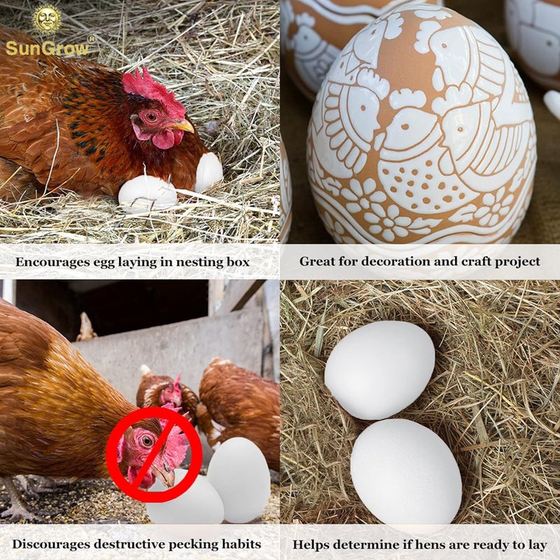 SunGrow Fake Wooden Eggs to Train Birds from Laying in The Nesting Boxes & to Stop from Eating Own Eggs, White Color, 5 Pack Suitable for Chicken and Duck - Image 3