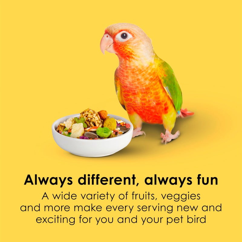 Kaytee Fiesta Conure Food, Nutritious and Fun Blend, Supports Skin, Feather, Digestion, Brain and Heart Health, 4.5 pounds - Image 3