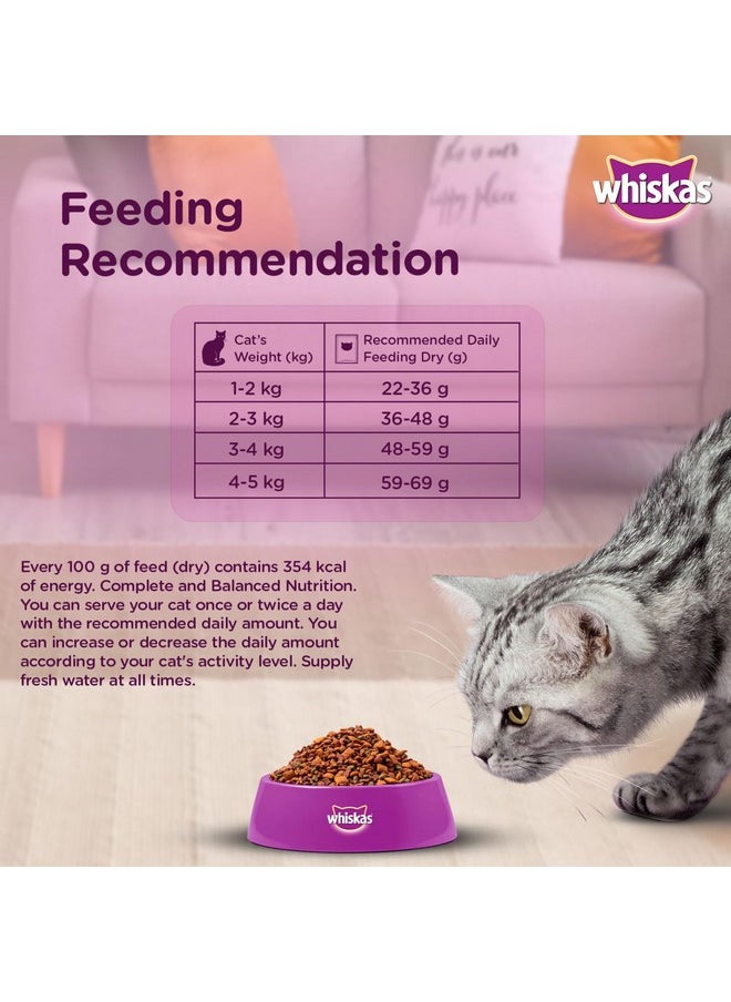 Adult (+1 Year) Dry Cat Food, Chicken Flavour, 1.2Kg Pack - pzsku/Z773C246294FB45945B17Z/45/_/1728309192/f7325e06-39ca-4c83-a3ba-bd1afd9eaef8