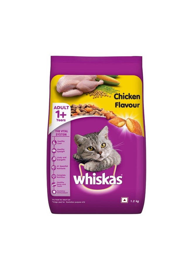 Adult (+1 Year) Dry Cat Food, Chicken Flavour, 1.2Kg Pack - pzsku/Z773C246294FB45945B17Z/45/_/1728309257/1f5c460e-5fc2-46f1-bfdb-59ba9216aa8d