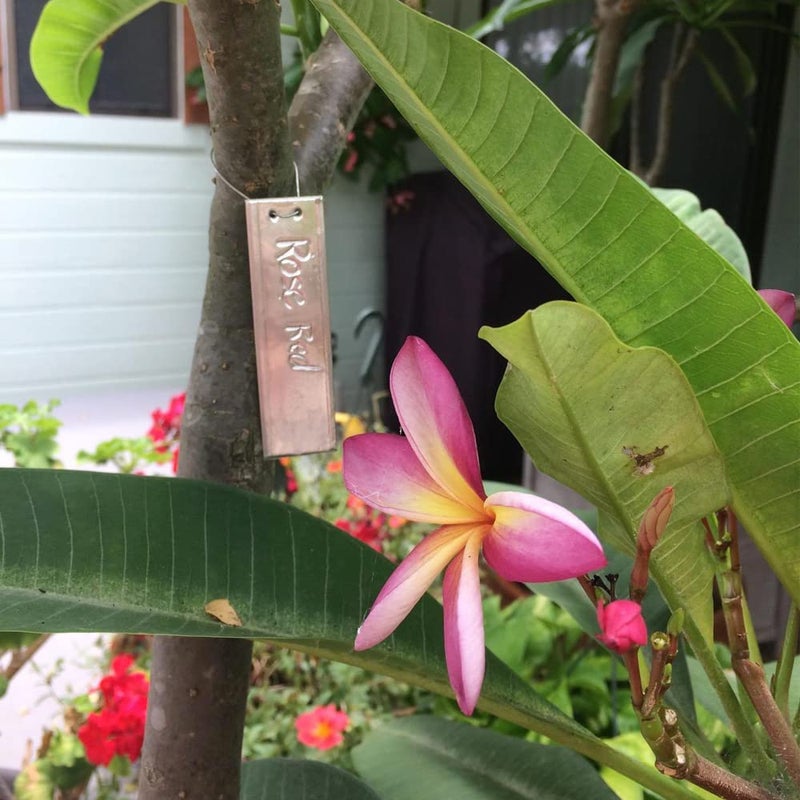 Tinsky Aluminum Plant Labels - 200PCS Metal Tags with Wires for Plant Markers, Tree Tags, Outdoor Identification and Greenhouse - Image 2