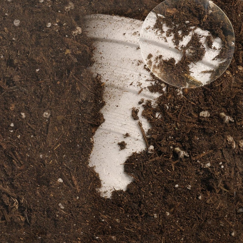 Educational Insights See-Through Compost Container for Learning Decomposition and Environmental Education - Image 5