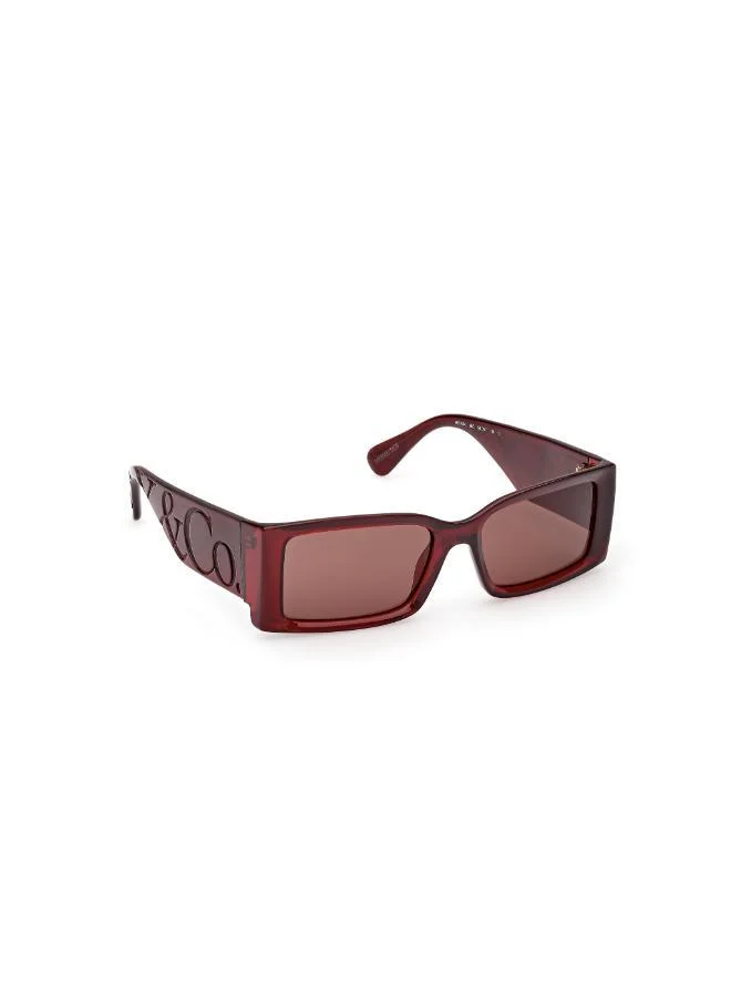 MAXCO  wayfarers sunglasses for Women | Best Price UAE