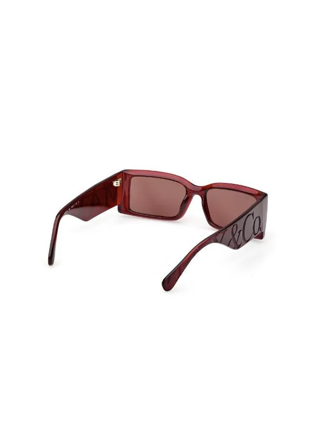 MAXCO  wayfarers sunglasses for Women | Best Price UAE
