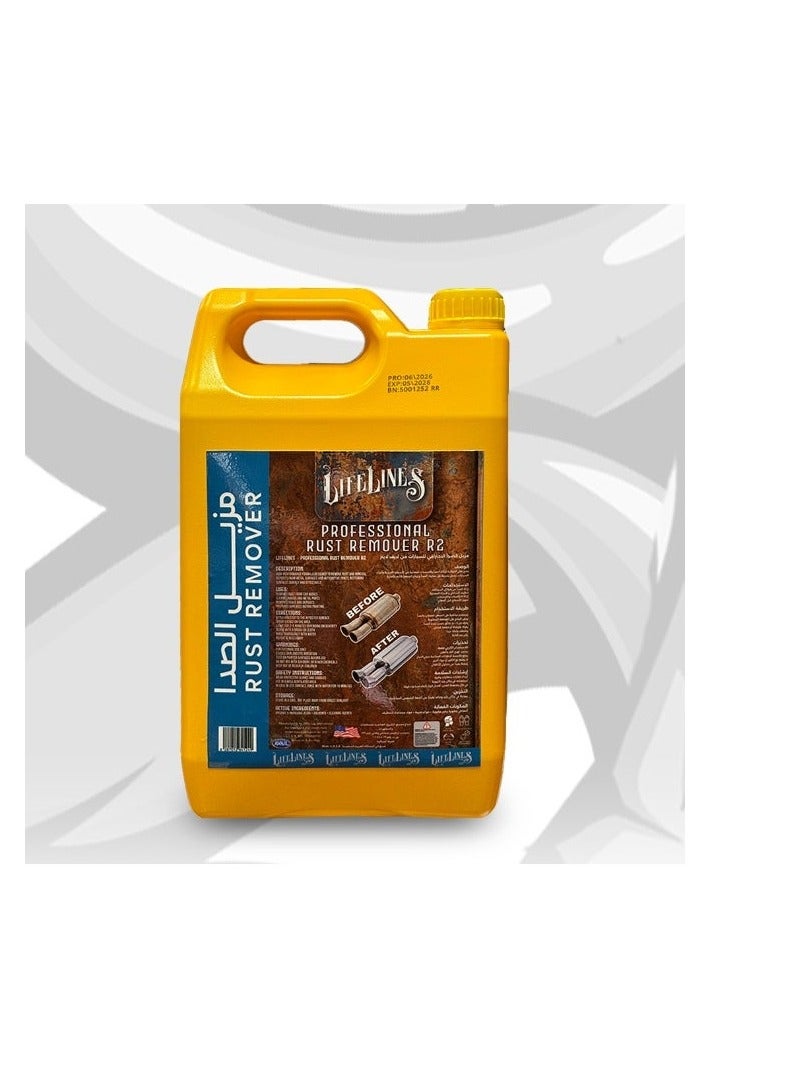 professional Rust Remover R2 from lifelines