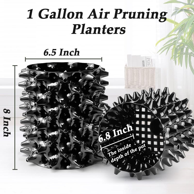 RooTrimmer 1 Gallon Air Pruning Containers, New Plastic Nursery Pots, Fruit Vegetable Garden Self-Planting Pots, Black (1G-10P) - Image 3