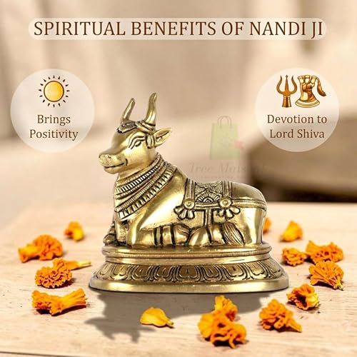 TREE MAISON CORONATING HOMES Vastu Brass Nandi Cow Statue | 810 g Weight Approx | Vastu Remedy for Home & Office | Size- 9 X 11 Cm | Nandi Idol for Pooja | Vastu Brass Nandi Bull - Image 5