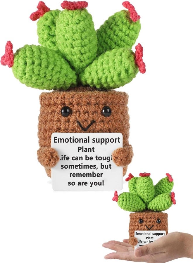 INOCEAN Emotional Support Gift, Plant Support Gift, Positive Gifts, Handmade Crochet Cactus Plant Decor - Emotional Support Gift, Positive Gifts for Home, Office, or School Ages - Image 1