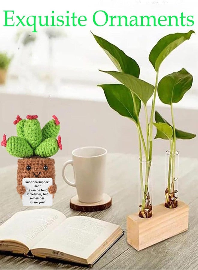 INOCEAN Emotional Support Gift, Plant Support Gift, Positive Gifts, Handmade Crochet Cactus Plant Decor - Emotional Support Gift, Positive Gifts for Home, Office, or School Ages - Image 4