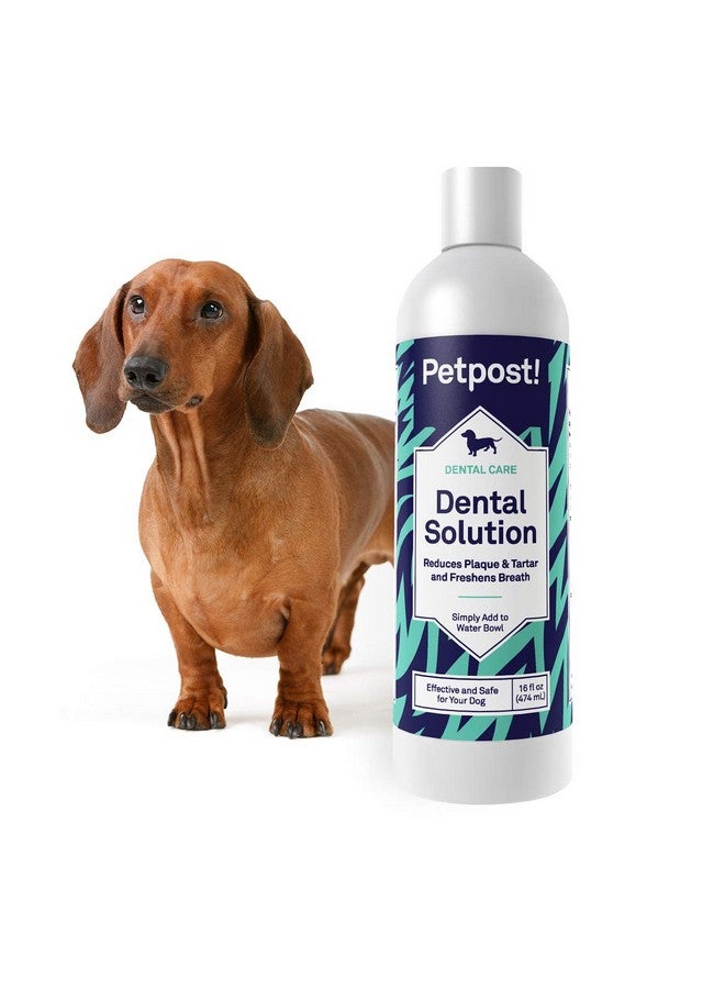 | محلول أسنان للكلاب - مادة مضافة للمياه تعمل على التخلص من رائحة الفم الكريهة - التخلص من الأوساخ والرواسب وتراكم الأسنان - محلول تنظيف الأسنان الطبيعي 16 أونصة. - Image 5