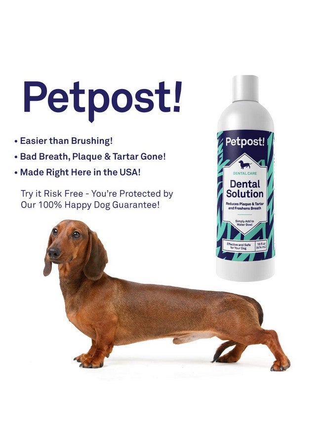 | محلول أسنان للكلاب - مادة مضافة للمياه تعمل على التخلص من رائحة الفم الكريهة - التخلص من الأوساخ والرواسب وتراكم الأسنان - محلول تنظيف الأسنان الطبيعي 16 أونصة. - Image 2