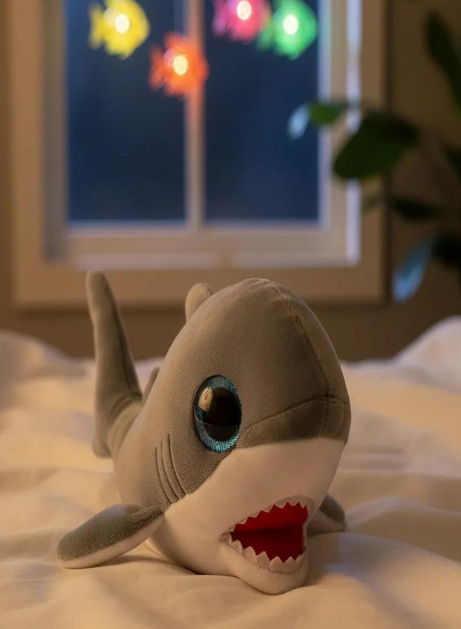 Ty Beanie Boo Finnegan The Gray Shark - 6" - Image 3