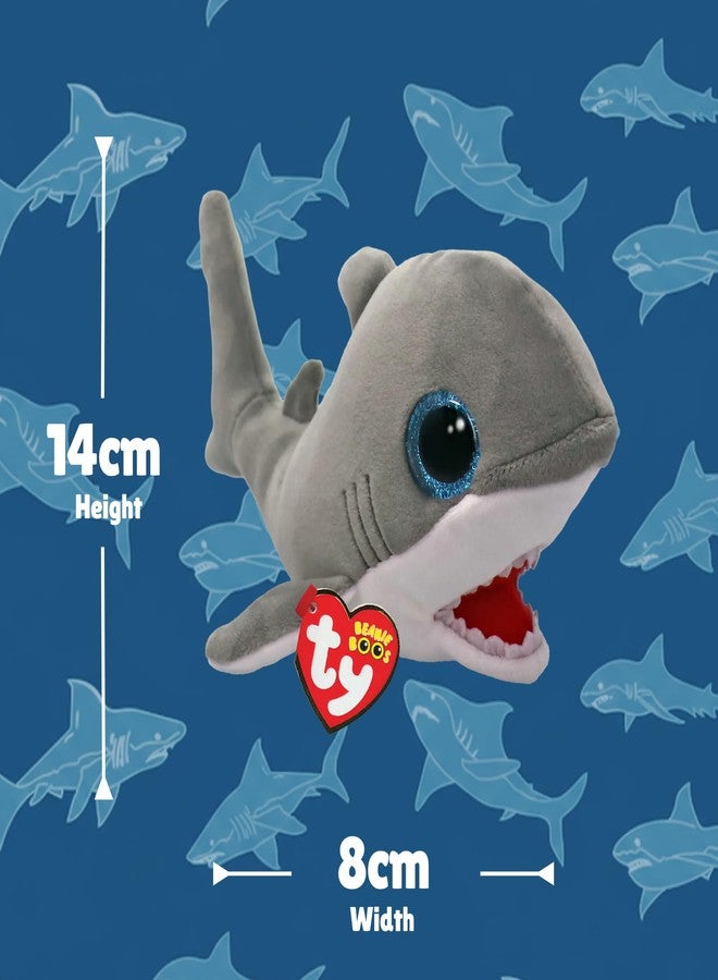 Ty Beanie Boo Finnegan The Gray Shark - 6" - Image 4