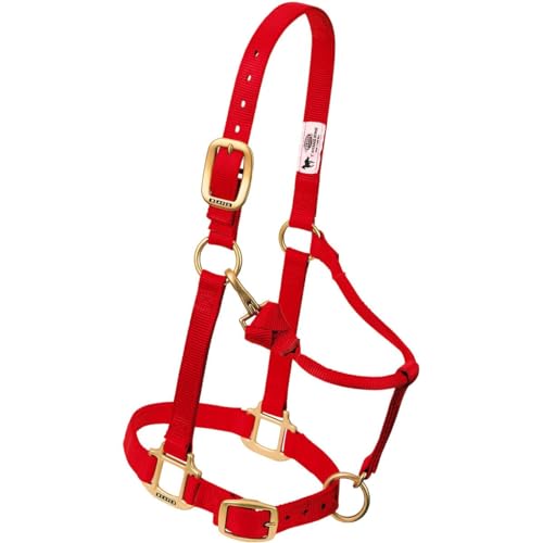 Weaver Leather Original Adjustable Nylon Horse Halter, Weanling/Pony, Hunter Green - Image 5
