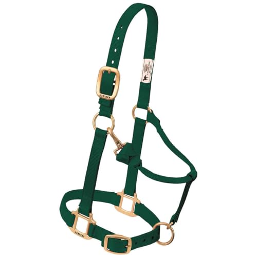 Weaver Leather Original Adjustable Nylon Horse Halter, Weanling/Pony, Hunter Green - Image 1