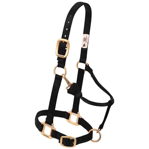 Weaver Leather Original Adjustable Nylon Horse Halter, Weanling/Pony, Hunter Green - Image 2