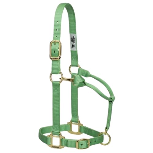 Weaver Leather Original Adjustable Nylon Horse Halter, Weanling/Pony, Hunter Green - Image 3