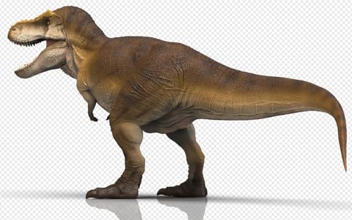 RECUR نماذج الديناصور ما قبل التاريخ T-Rex أوزبورن 15 بوصة - تمثال تيرانوصور ركس واقعي للعب والعرض بفك متحرك فاخر - Image 3