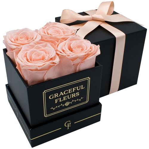 Chloe's Graceful Fleurs Graceful Fleurs | Real Long Lasting Roses for Years | Preserved Fresh Flowers for Delivery Birthday | Birthday Gifts for Women | Forever Roses in a Box (Light Peach, Black Box, 4 Roses) - Image 1