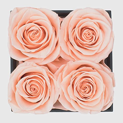 Chloe's Graceful Fleurs Graceful Fleurs | Real Long Lasting Roses for Years | Preserved Fresh Flowers for Delivery Birthday | Birthday Gifts for Women | Forever Roses in a Box (Light Peach, Black Box, 4 Roses) - Image 2
