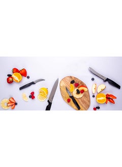 PEDRINI Pedrini Boning Knife, S.Steel(0306-420) (72)  - Image 2