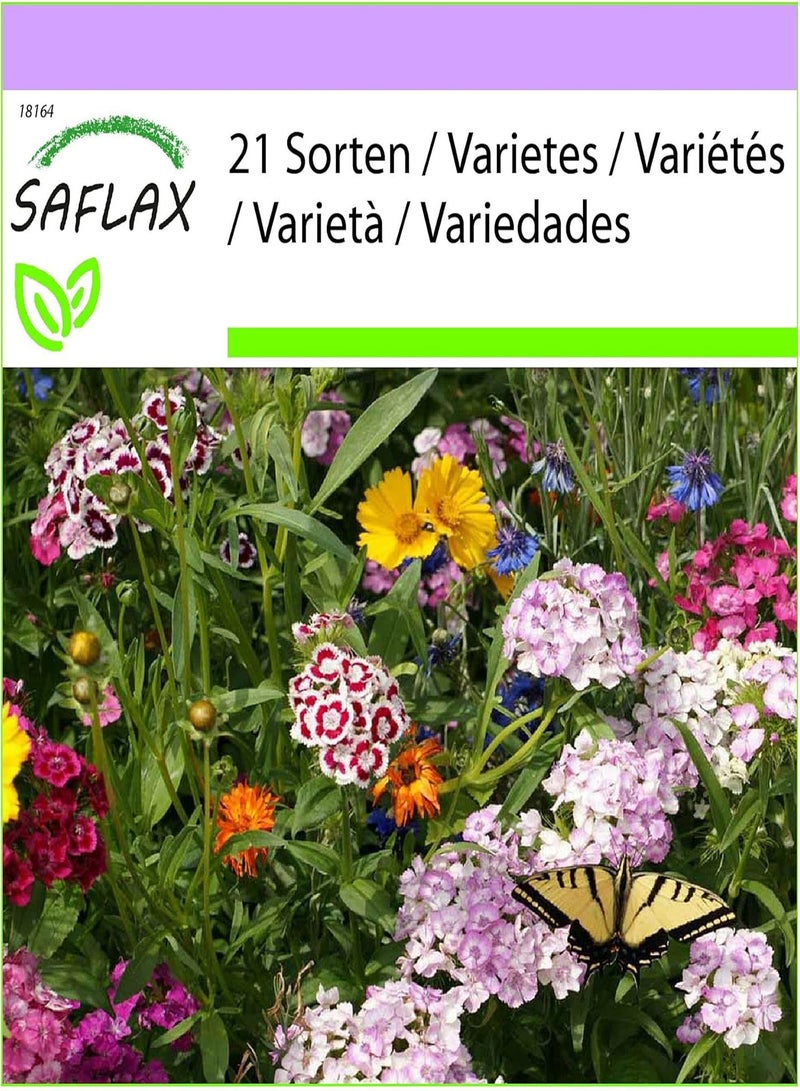GGOOT Bird & Butterfly Mix - 100 Seeds - 21 Sorten - Image 1