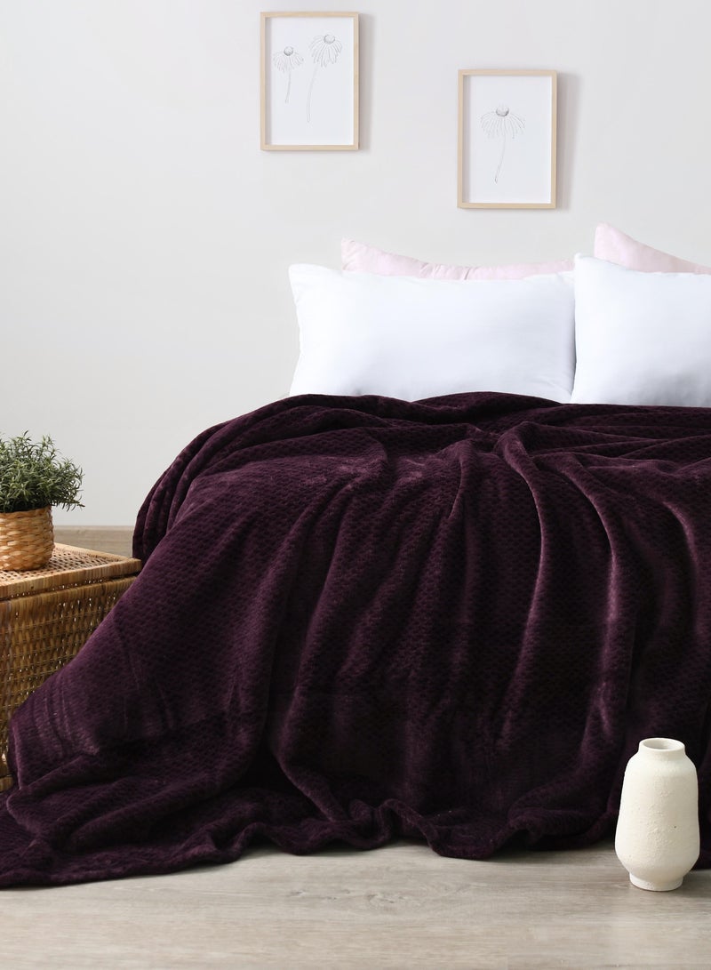 MORANO Morano Velvet Blanket – Dyed Model, 220x240 CM, Luxuriously Soft Polyester Throw, Lightweight Warm Blanket for Bed or Sofa – Elegant Colors for all Home Styles - Image 2
