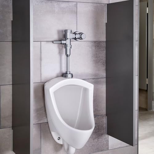 American Standard صمام تدفق مرحاض يدوي أمريكي قياسي 6045013.002، نوع مكبس، 0.125 جالون لكل تدفق، كروم مصقول - Image 2