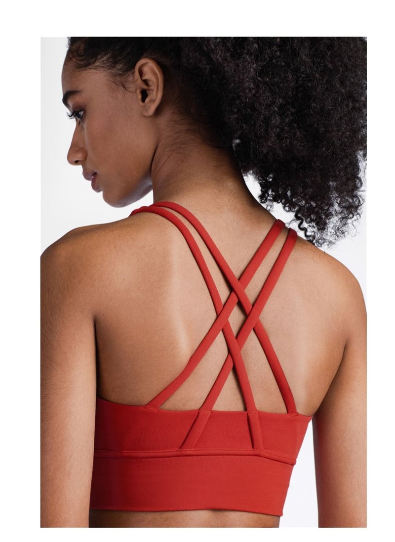 Loquat Ladies Sports Bra  - Image 2