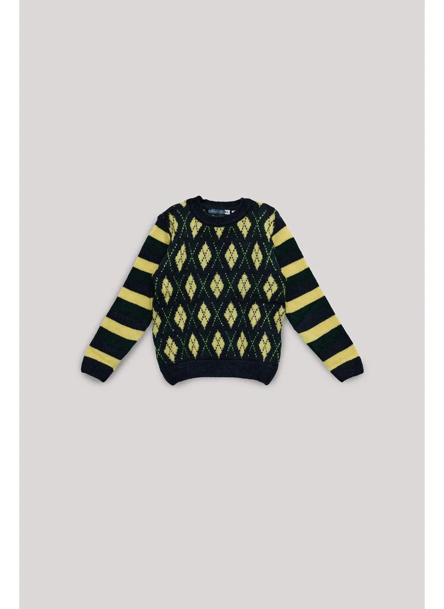 NEBBATI - Invalid brand Bg Store Boy Patterned Sweater