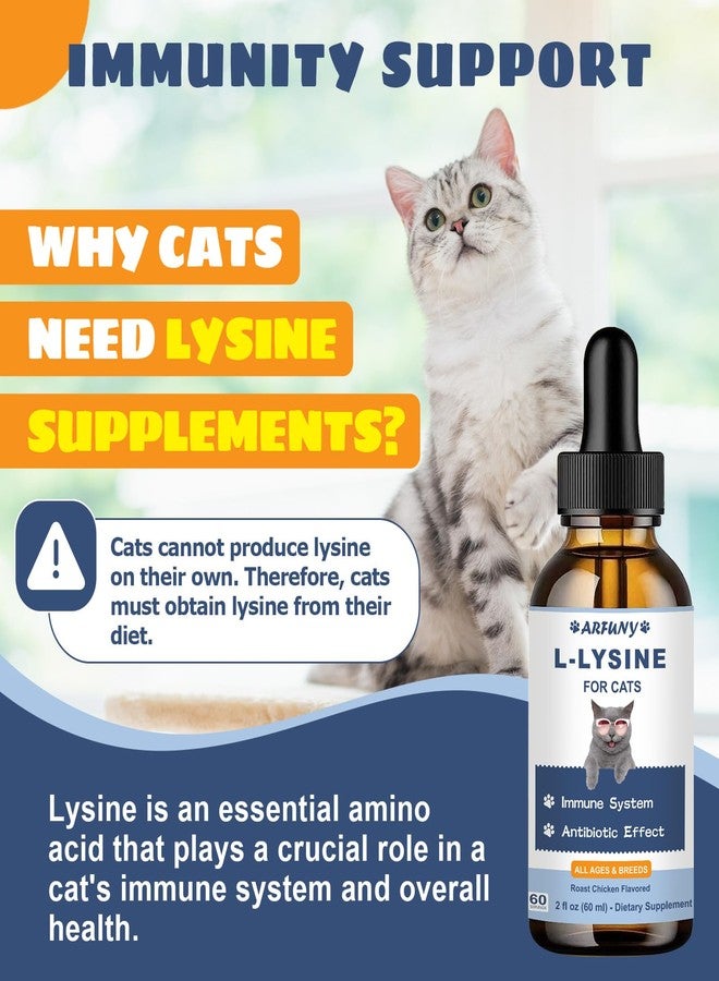 SANTKOL Lysine for Cats - 2 Packs Cat Lysine Drops - Sneezing Treatment, Nasal Relief - Feline Upper Respiratory Infection, Runny Nose, Eye Function - Immune Support - Roast Chicken Flavor - Image 3