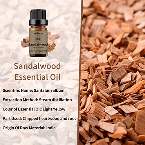 yethious Sandalwood Vetiver Essential Oil Set 100% Pure Organic Undiluted Aromatherapy Oils for Diffuser, Skin, Hair, Perfume, Soap, Candle Making 2 x 10ML - Image 2