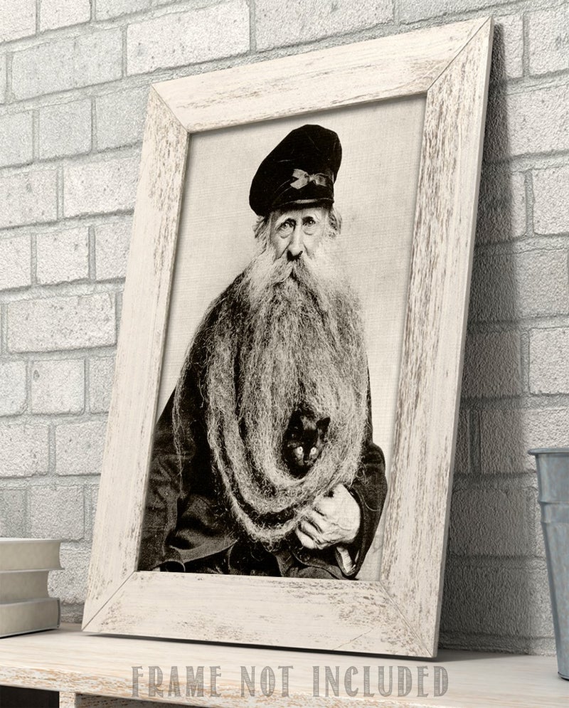 Lone Star Art Quirky Kitten Hiding in Old Mans Giant Beard Bizarre Strange Weird Vintage Photo - 11x14 Unframed Print - Perfect Vintage Home Decor Under $15 - Image 5