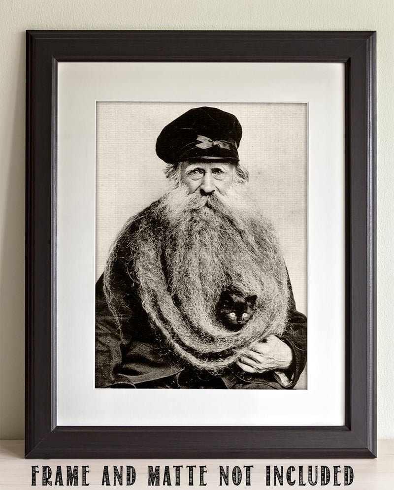 Lone Star Art Quirky Kitten Hiding in Old Mans Giant Beard Bizarre Strange Weird Vintage Photo - 11x14 Unframed Print - Perfect Vintage Home Decor Under $15 - Image 3
