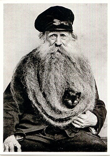 Lone Star Art Quirky Kitten Hiding in Old Mans Giant Beard Bizarre Strange Weird Vintage Photo - 11x14 Unframed Print - Perfect Vintage Home Decor Under $15 - Image 2