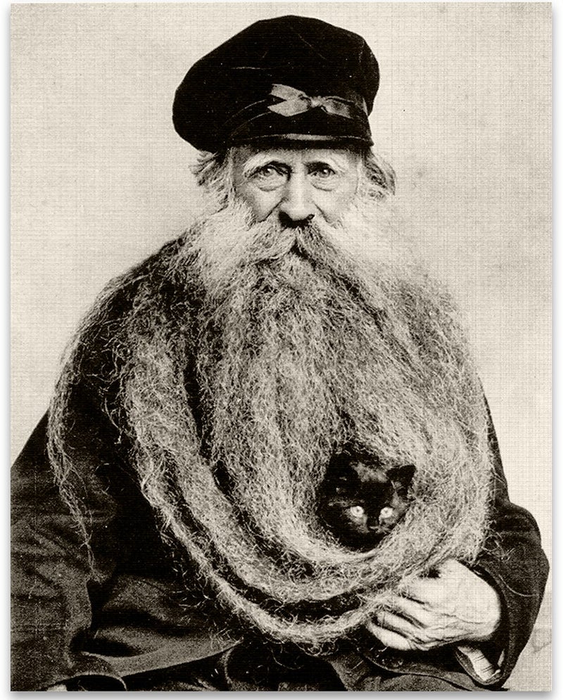 Lone Star Art Quirky Kitten Hiding in Old Mans Giant Beard Bizarre Strange Weird Vintage Photo - 11x14 Unframed Print - Perfect Vintage Home Decor Under $15 - Image 1