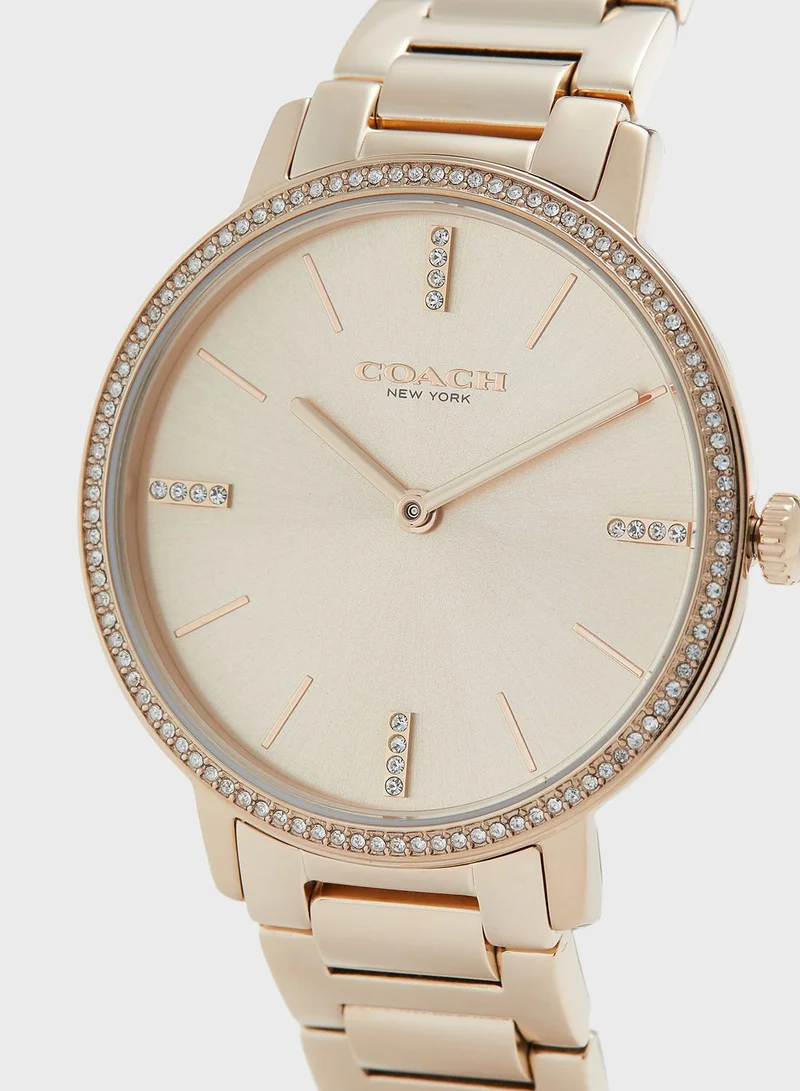COACH Audrey Ionic Plated Carnation Watch