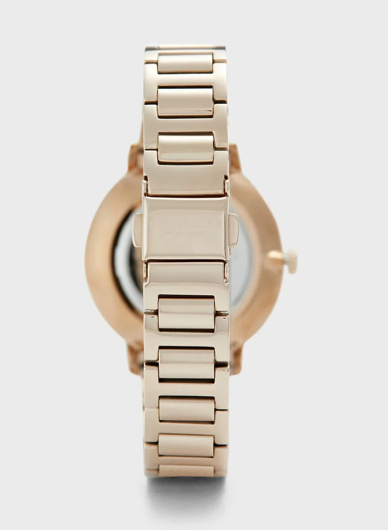 COACH Audrey Ionic Plated Carnation Watch