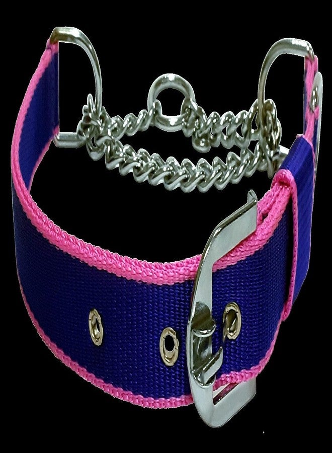 New Dog Show Collar (Extra Large, Multicolor)