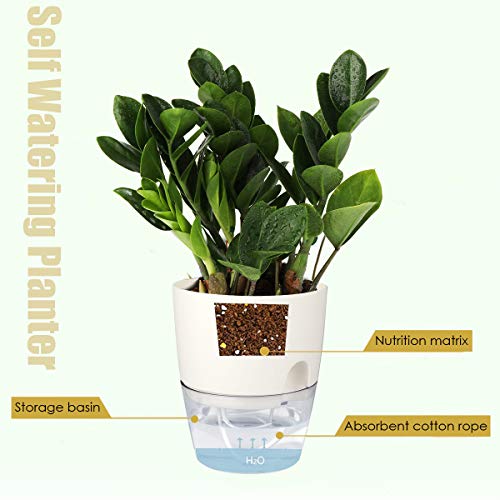 Vanavazon 6 Inch Self Watering Planter Pots for Indoor Plants, 3 Pack African Violet Pots with Wick Rope-White - Image 2