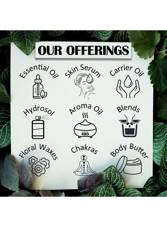 Deve Herbes Japanese Cypress Essential Oil (Chamaecyparis obtusa) Pure | Non-Sticky | Non-greasy | Lightweight | Men & Women | All Skin Types | Steam Distilled 2ml - Image 5