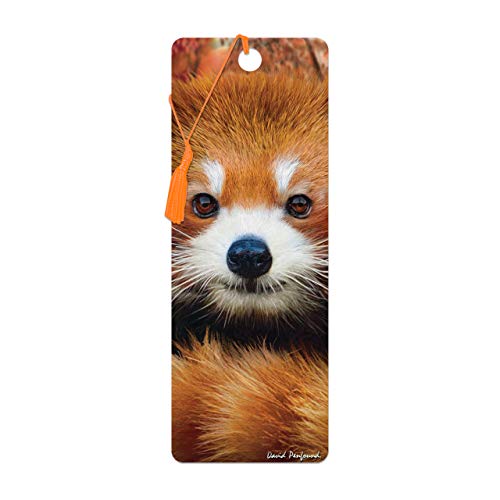 3D LiveLife Bookmark - Baby Red Panda from Deluxebase. A Red Panda Book Marker with lenticular 3D Artwork Licensed from Renowned Artist David Penfound - Image 3
