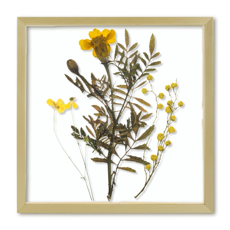 Frametory Floating Picture Frame 8x8  Gold Aluminum Metal Photo Frame  Real Glass of Front  for Wall Mount Displays