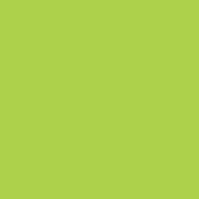 Rust-Oleum 284319 Green Automotive Peel Coat Spray, 11 fl. oz.
