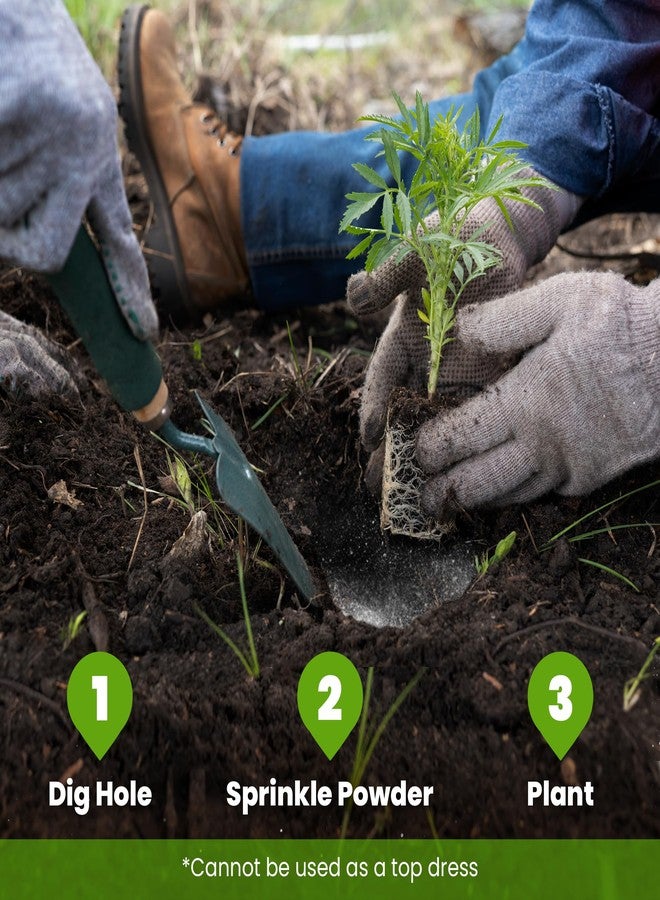 Big Foot Root Boost Azospirillum Promotes Rooting, Grow New Plants From Cuttings, Boost Nitrogen In Soil, 2 Ounce - Image 4