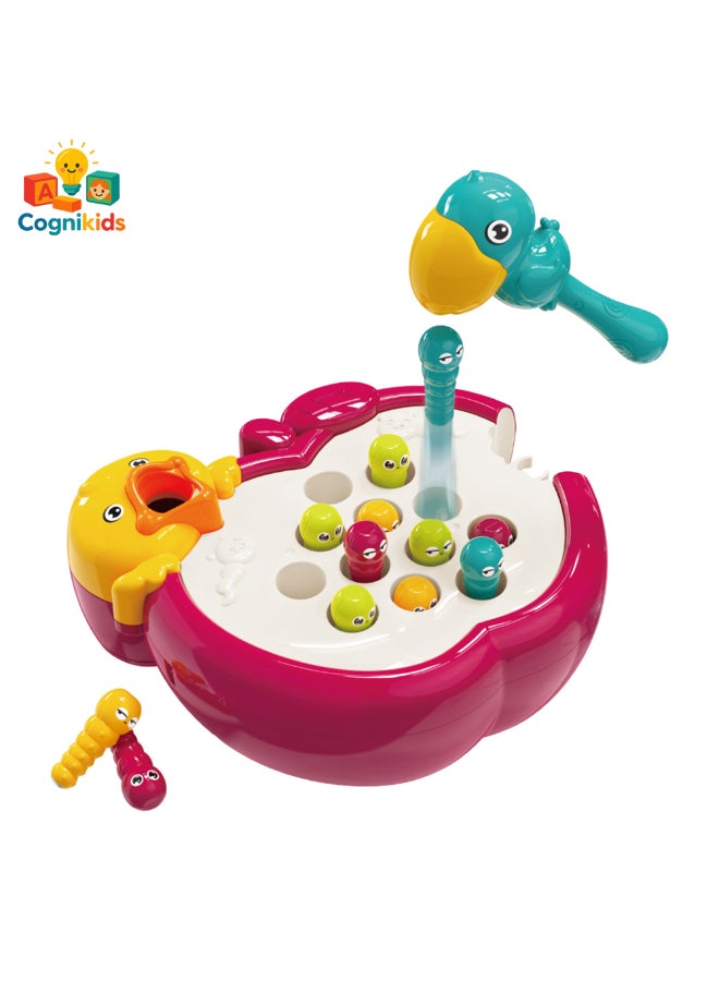 COGNIKIDS لعبة الدودة المغناطيسية للأطفال – لعبة مهارات الحركة الدقيقة من مونتيسوري للأطفال 18 شهرًا فما فوق | لعبة تعليمية اصطياد الدودة مع طائر، تفاحة و 12 دودة | لعبة تعليمية لمرحلة ما قبل المدرسة - Image 1