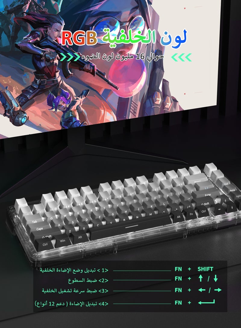 82 Keys Wired Gaming Keyboard  Mechanical Keyboard Hot-Swappable With blue Switch RGB Backlit - Image 2